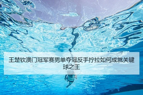 wang-chu-qin-ao-men-guan-jun-sai-nan-dan-duo-guan-fan-shou-ning-la-ru-he-cheng-jiu-guan-jian-qiu-zhi-wang-2-485.jpg